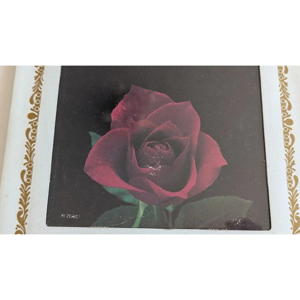 Vintage 80s I Love You Red Rose Wall Art Gold Filigree Border 8x8 Cardboard